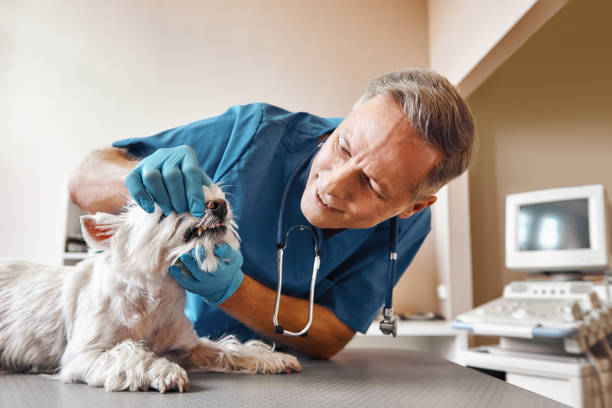 Best Emergency Dental Surgery in Crystal Springs, MS